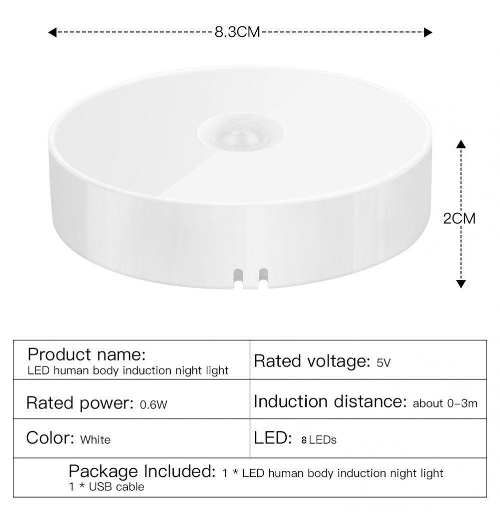 Motion Sensor Light for Home